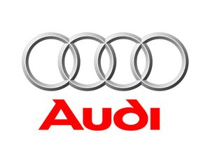 Килимки Audi