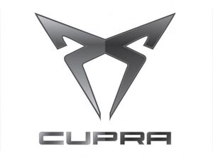 Килимки Cupra