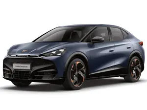 Килимки Cupra Tavascan 2023-