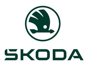 Килимки Skoda
