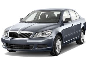 Килимки Skoda Octavia 2 / A5 2004-2013