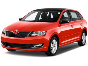Коврики Skoda Rapid / Spaceback 2012-2019