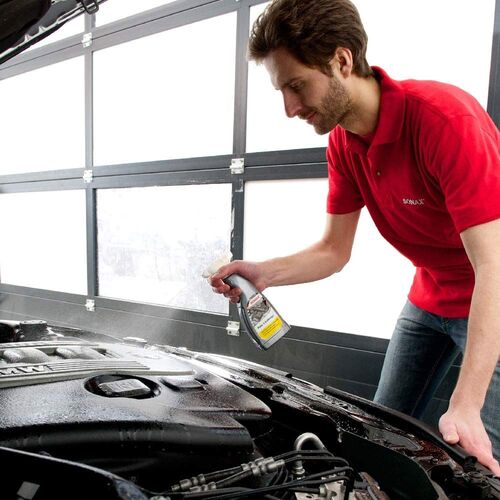 Очиститель двигателя SONAX 543200