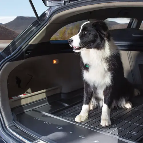 3D-килим в багажник гумовий Volkswagen Golf 7 hatchback 2012-2019 Frogum ProLine, Кількість: 1 шт / в багажник хетчбеку, зображення 5