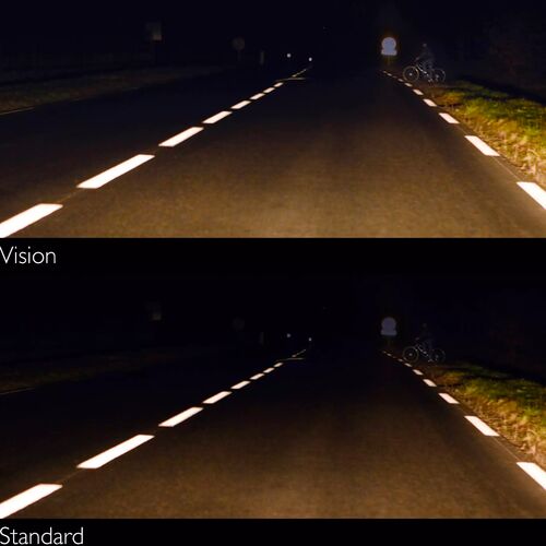 PHILIPS Vision +30% HB4 55W 3200K (картон) 1 шт, зображення 6