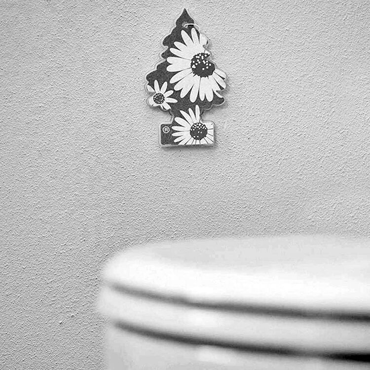 Little Trees Steel Pure Air Freshener ароматизатор ёлочка с запахом стальной свежести , изображение 6