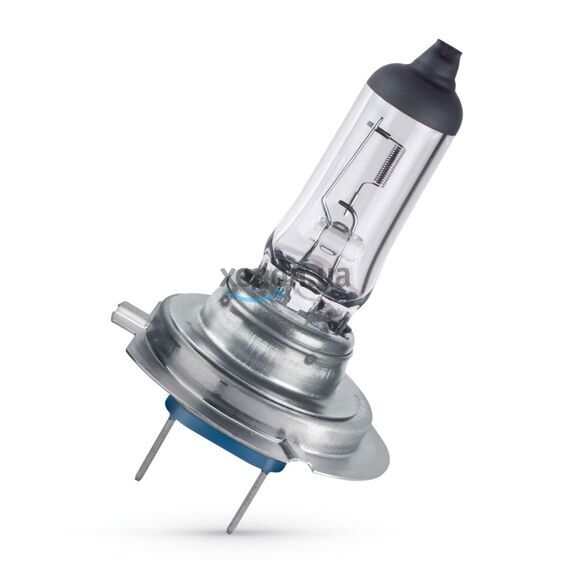 PHILIPS LongLife EcoVision 4x H18 65W 3100K (картон) 1 шт , изображение 3